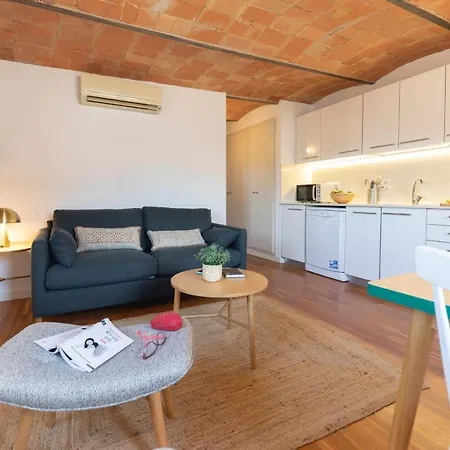 Bravissimo Raims Penthouse Apartment Girona