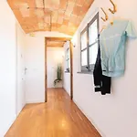 Bravissimo Raims Penthouse Апартаменты Жирона