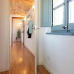 Bravissimo Raims Penthouse * Жирона