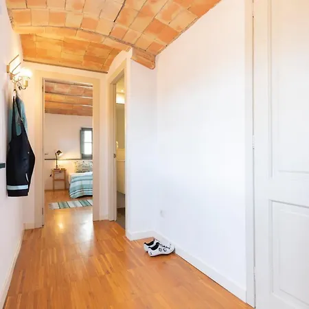 公寓 Bravissimo Raims Penthouse 赫罗纳