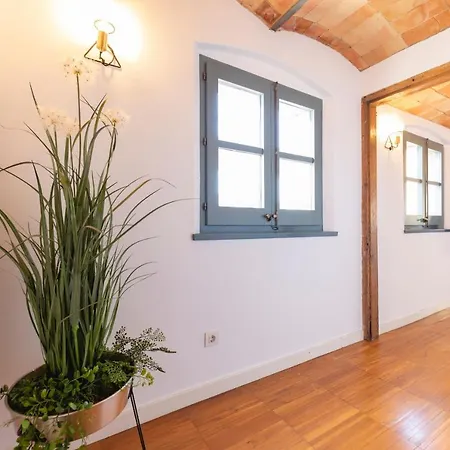 Daire Bravissimo Raims Penthouse