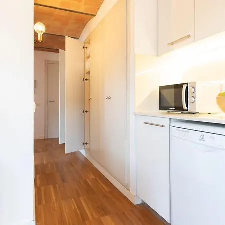 Bravissimo Raims Penthouse 公寓 赫罗纳