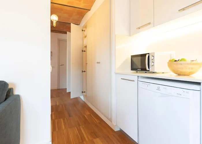Bravissimo Raims Penthouse Lejlighed Girona